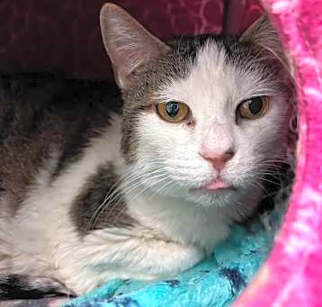 Photo of Dori