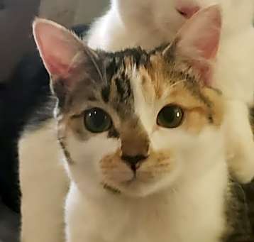 Photo of George and Nora