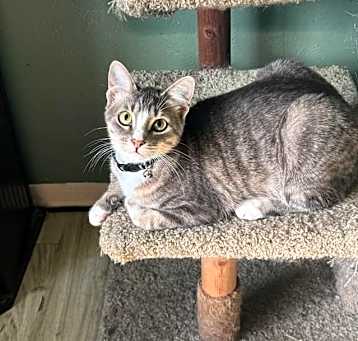 Photo of Jenny