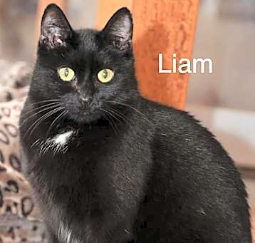 Photo of Liam