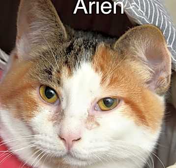 Photo of Arien