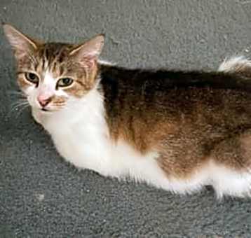 Photo of Sassy