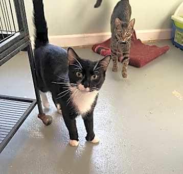 Photo of Minnie Mouser
