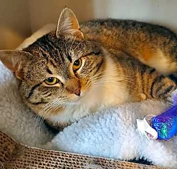 Photo of Rocky