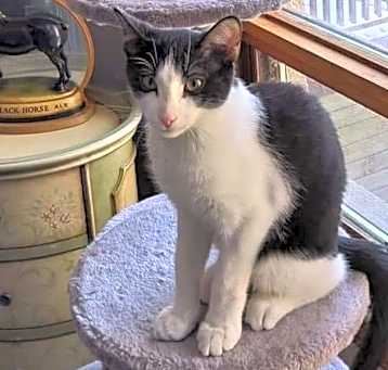 Photo of Boots
