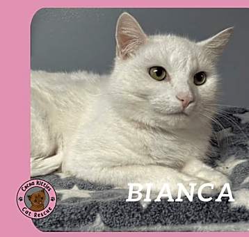 Photo of Bianca