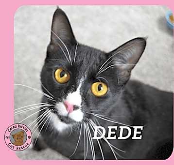 Photo of DeDe