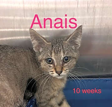 Photo of Anais