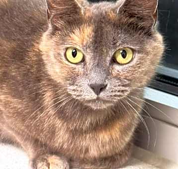 Photo of Sassy