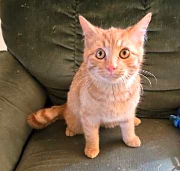 Photo of Clarence