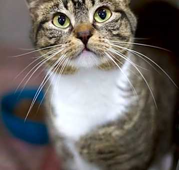 Photo of Karen