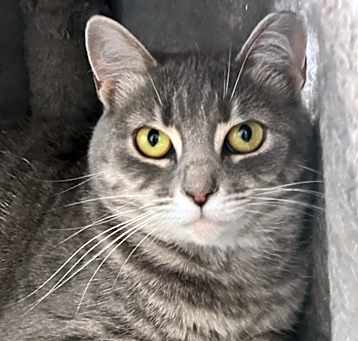 Photo of Maisey