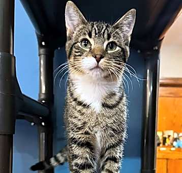 Photo of Axel