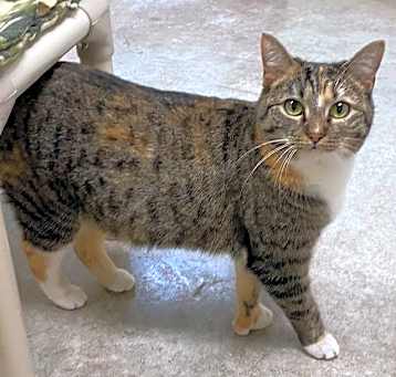 Photo of Polly