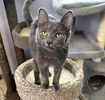 Photo of Jingle