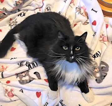Photo of Minnie