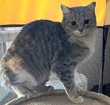 Photo of Amelia    (Spicy & Beautiful)