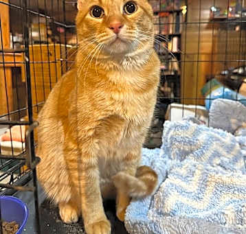 Photo of Dax