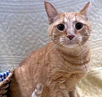 Photo of Wally