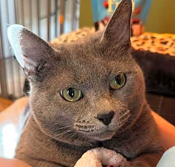 Photo of Stormie
