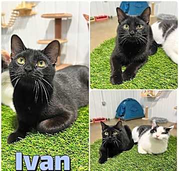 Photo of Ivan