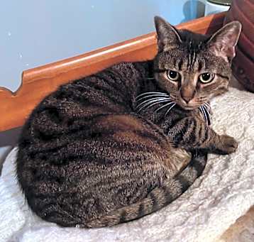 Photo of Maggie