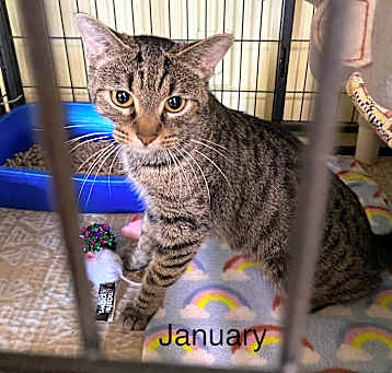 Photo of January