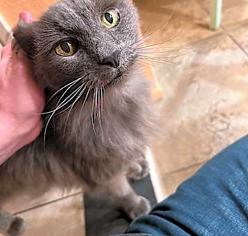Photo of Leo
