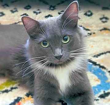 Photo of Molly