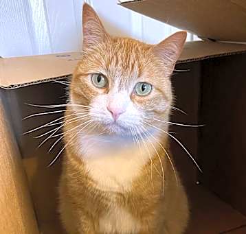 Photo of Bunchie