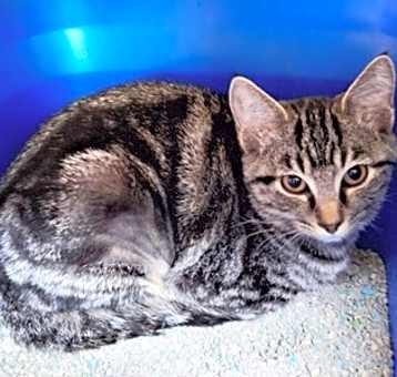 Photo of Nakita
