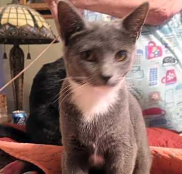 Photo of Natasha