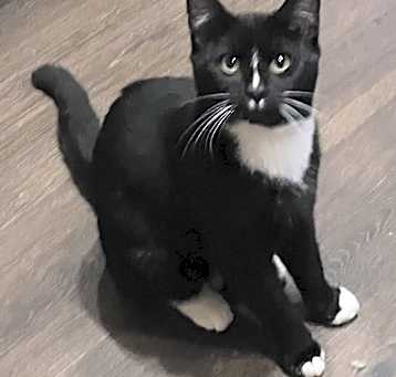 Photo of Socksy