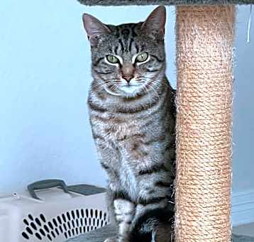 Photo of Big Daddy