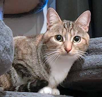 Photo of Marcella