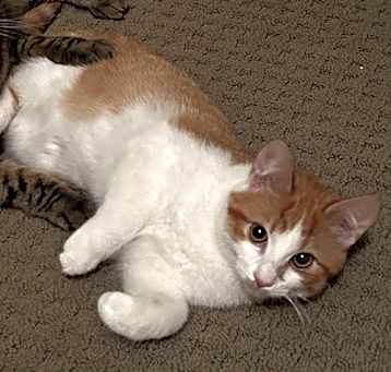 Photo of Oatmeal