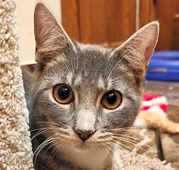 Photo of Bruce