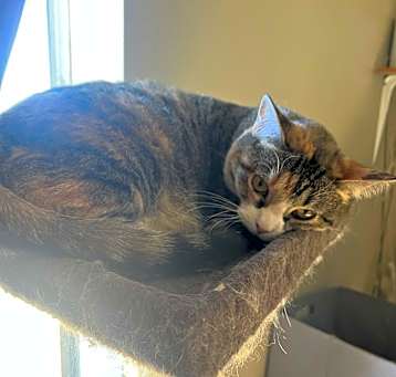 Photo of Sugar