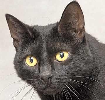 Photo of Polly