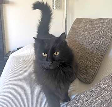 Photo of Sophie