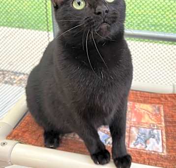 Photo of Faith / AC 26307