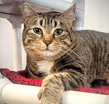 Photo of Mari