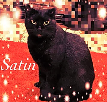 Photo of Satin