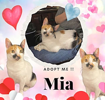 Photo of Mia
