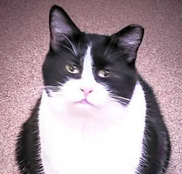 Photo of Mattie