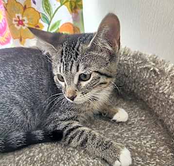 Photo of OLIVIA