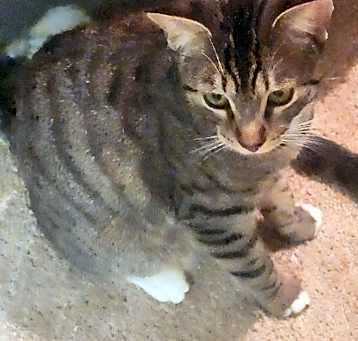 Photo of LILLY