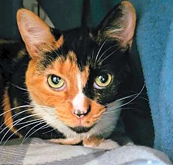 Photo of Paloma