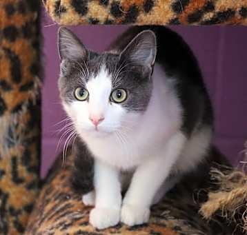 Photo of Zak
