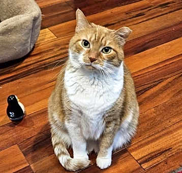 Photo of Fiona